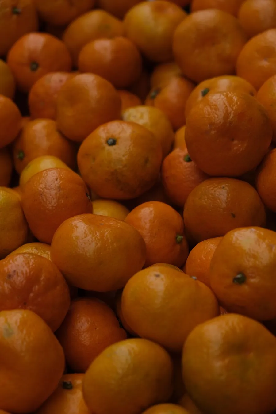 Mandarina Oneco Mercanto