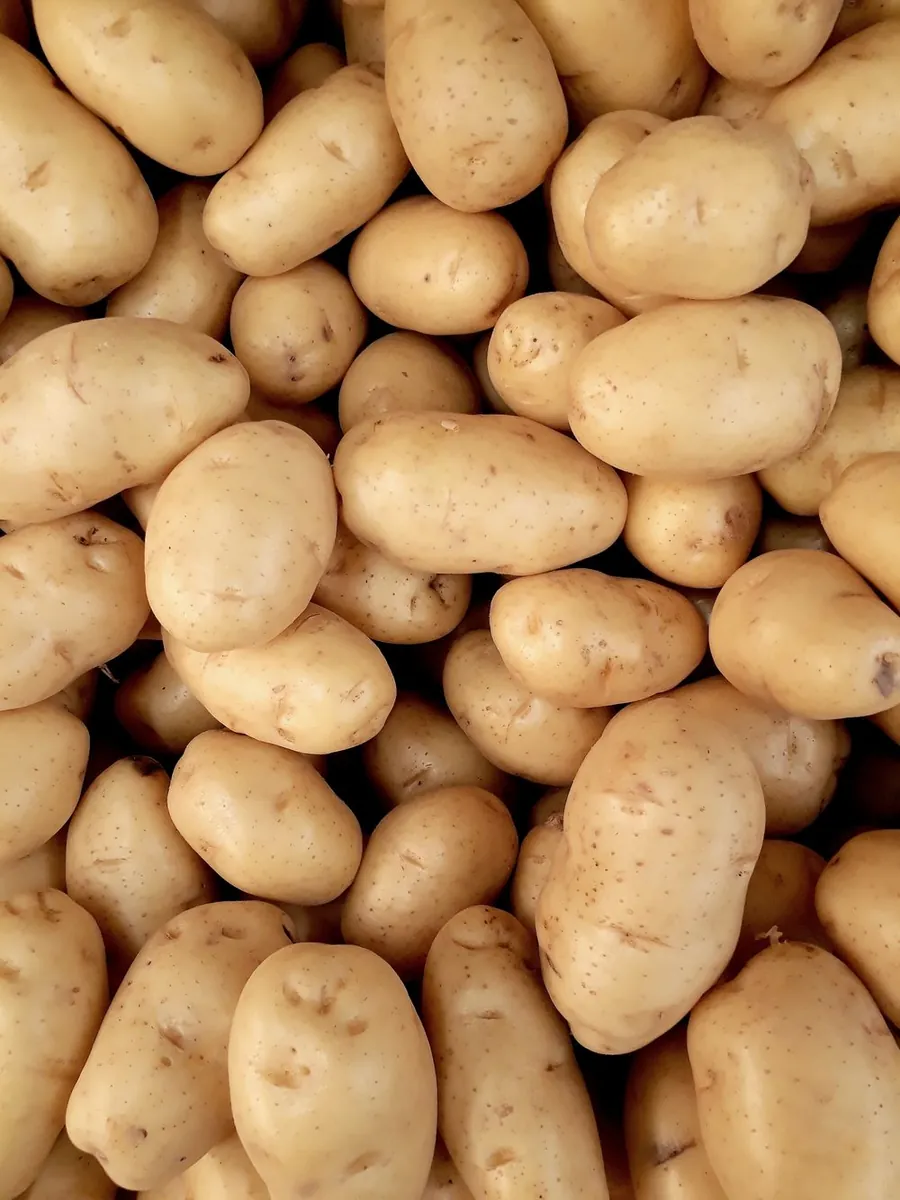 Papa — presentaciones Pastusa 1 kg, Pastusa 2.5 kg, Pastusa 5 kg, Sabanera 1 kg, Criolla 1 kg, Criolla 500 g, R-12 (para freír) 1 kg