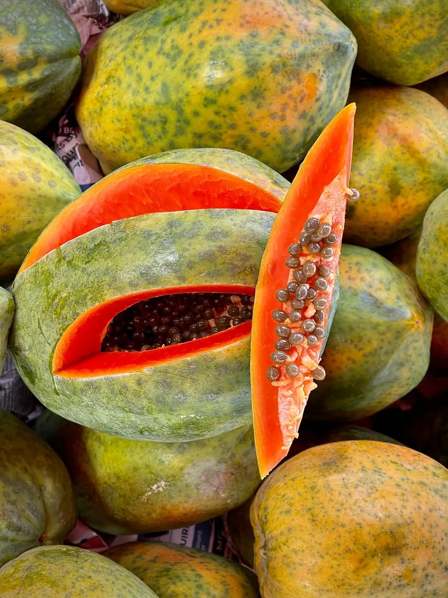 Papaya Maradol Mercanto