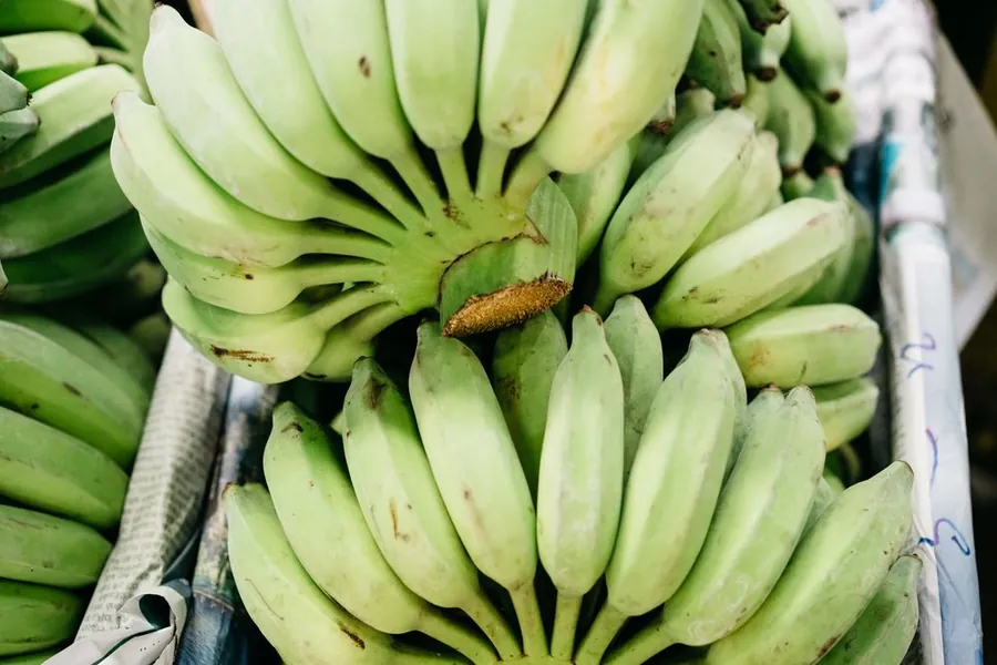Plátano Hartón Mercanto