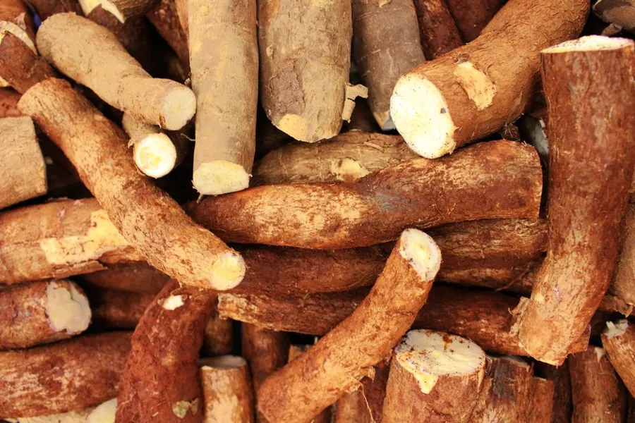 Yuca Fresca Mercanto